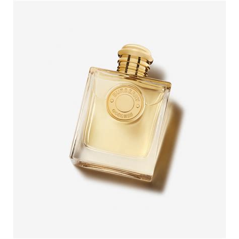 burberry 100 gr|burberry parfum 100 ml damen.